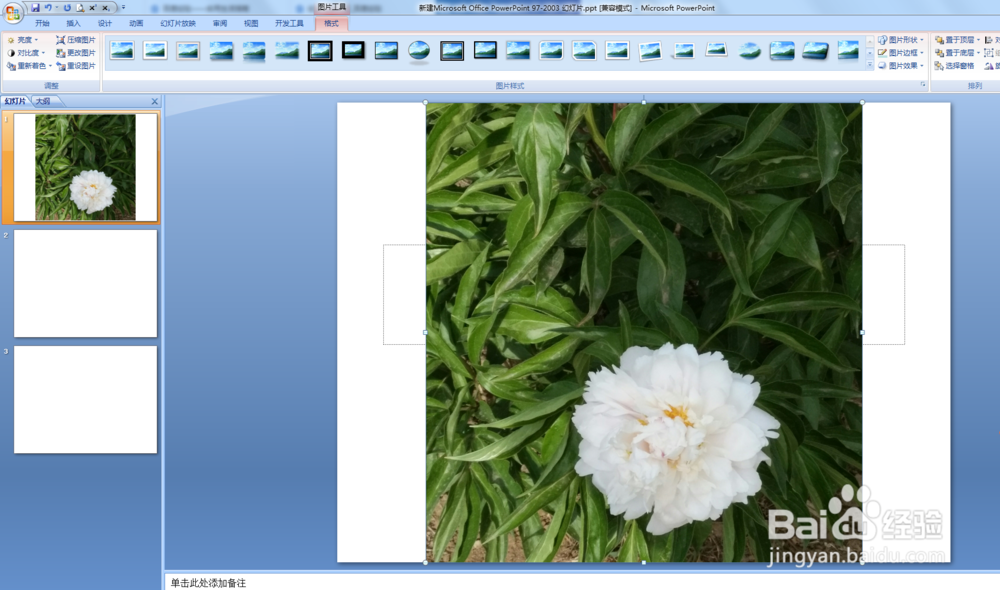 如何将电脑图片设置为PPT背景图？