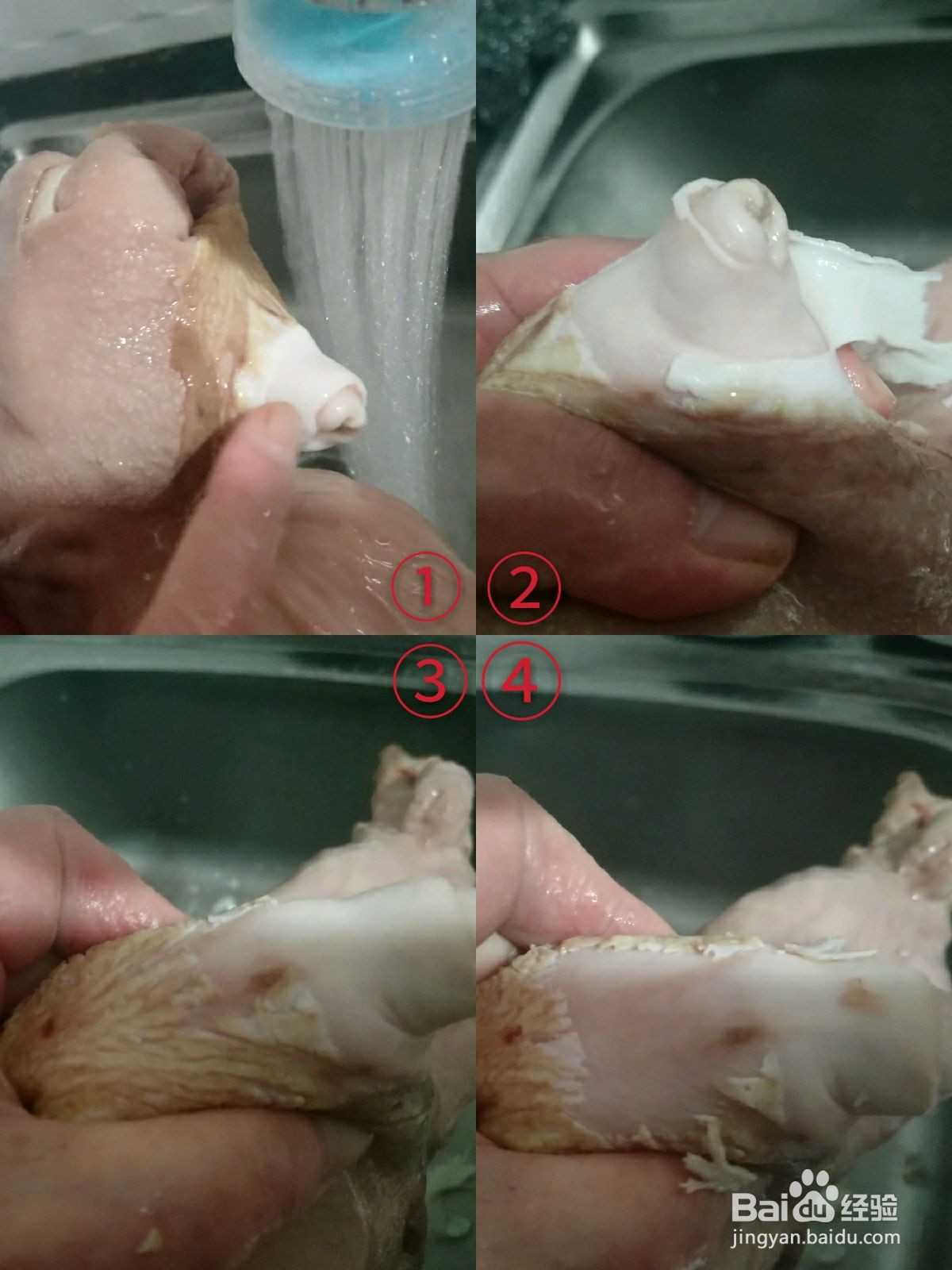 苦藠炖猪肚的做法