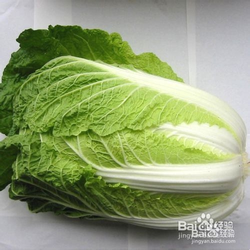 蚂蜂网告诉你冬季哪些美食让您快速减肥