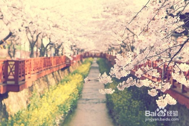 12星座攀龙附凤指数,你们会因为钱而结婚