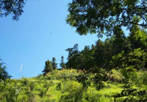 我的家乡哪个季节最美?为什么?写一段话和同学交流。