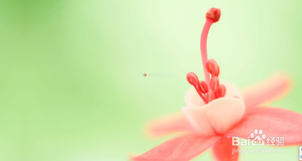 电脑截图工具简单的截图一张的电脑桌面图片