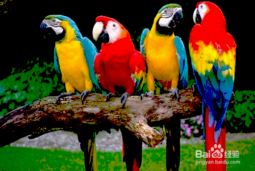 Mathematica的图像处理基础