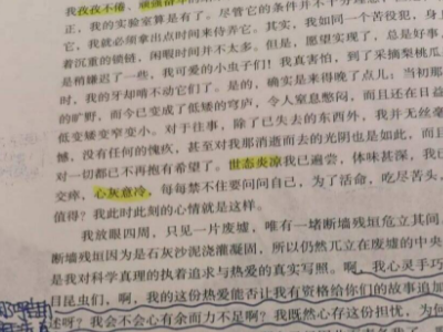 《昆虫记》每章内容概括是什么