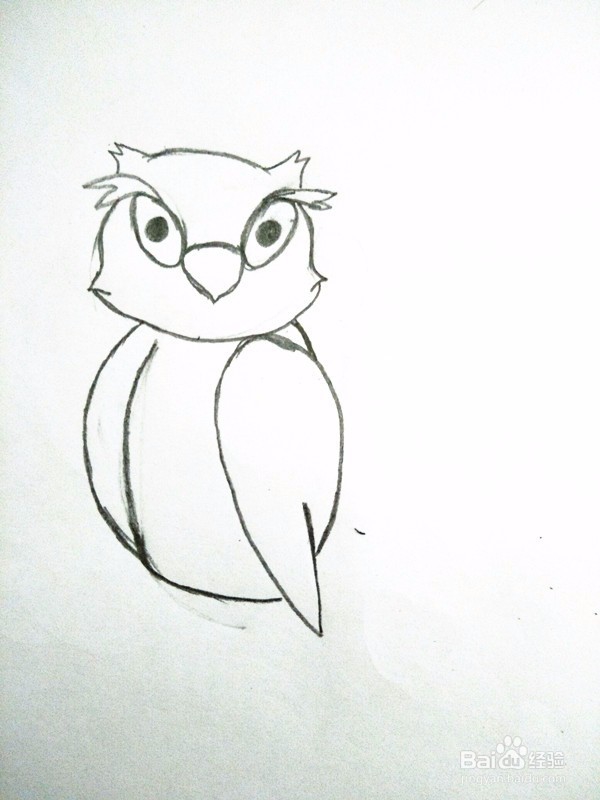 猫头鹰简笔画的画法