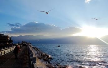 如何追到自己喜欢的女孩1