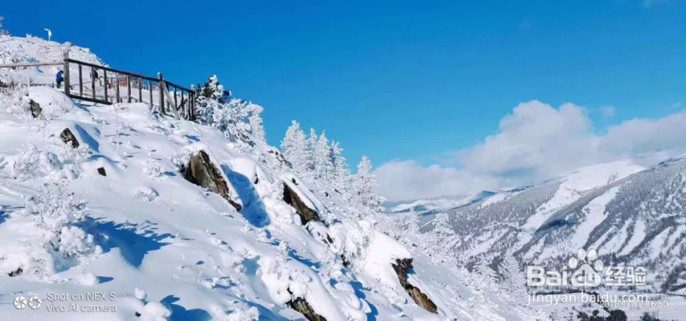 喀纳斯冬季76小时旅行攻略