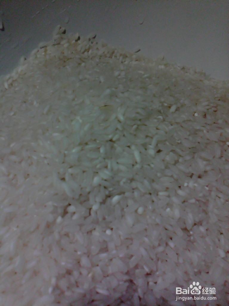 跟我学做萝卜糕