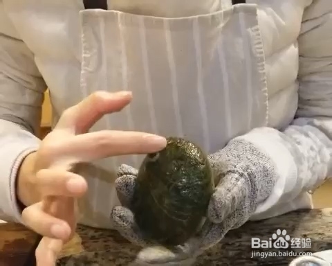 做出入味的鲍鱼