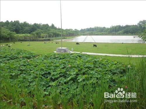 长沙周边经典露营地汇总