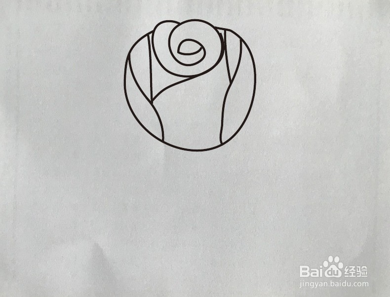 如何画玫瑰花简笔画