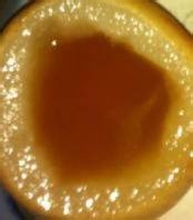 咳嗽梨怎么吃有效果