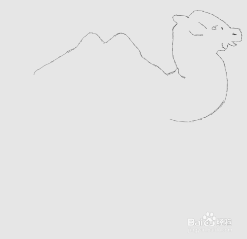 简笔画骆驼是怎么画的
