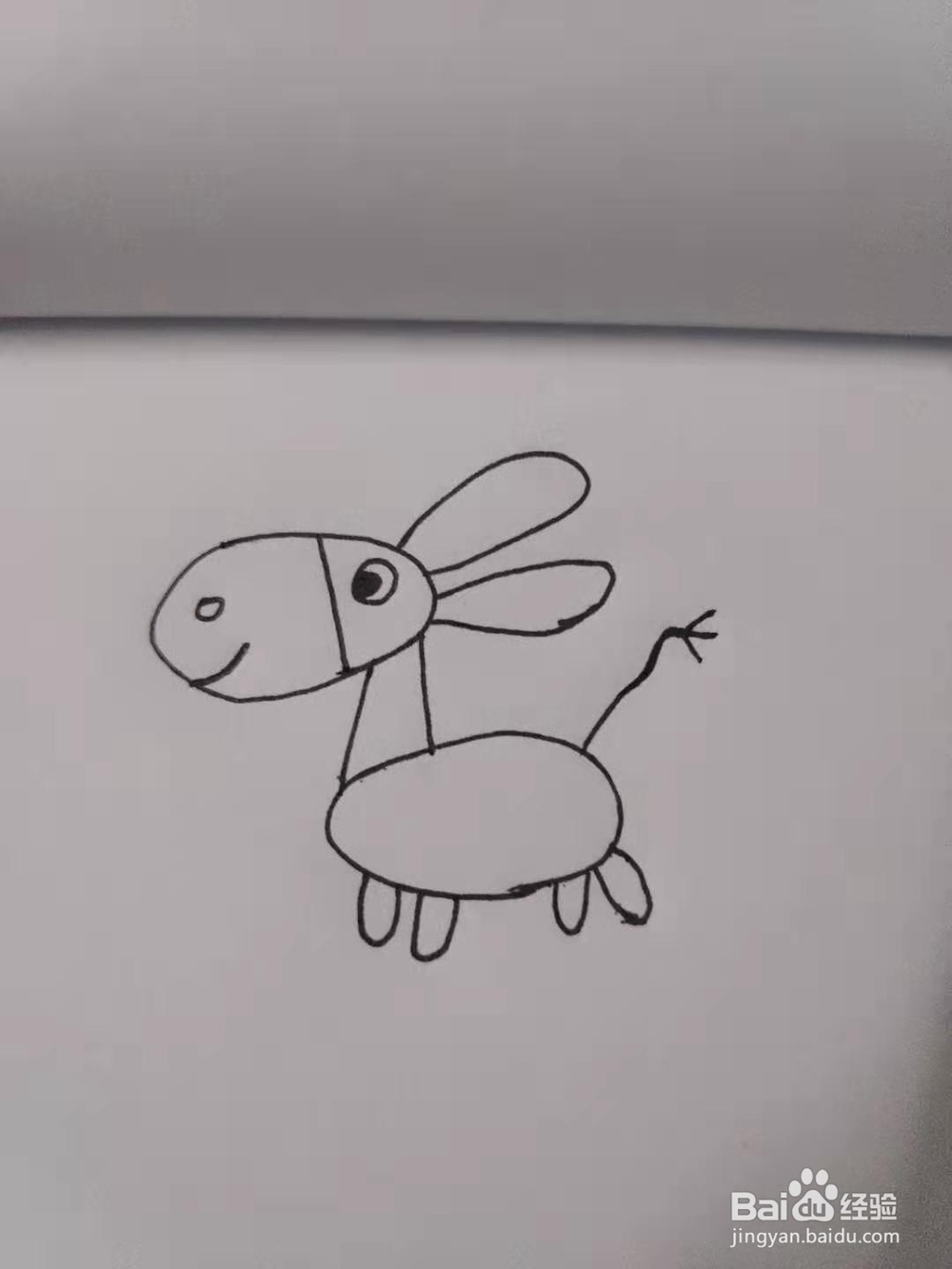 小毛驴简笔画