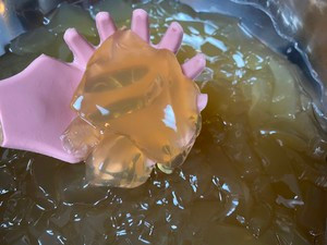 海底椰雪梨膏的做法