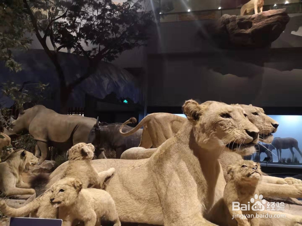 三天两晚济南游