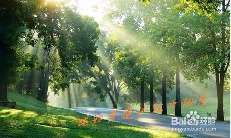 如何练就个性化的一手好字