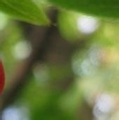 危险无处不在，提高防灾避险意识