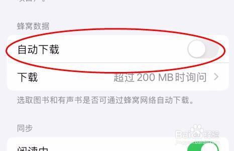 iPhone15图书蜂窝数据怎样关闭自动下载属性