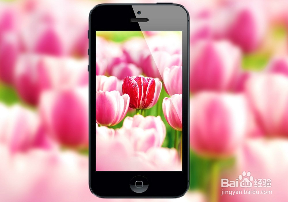 如何开通电话银行