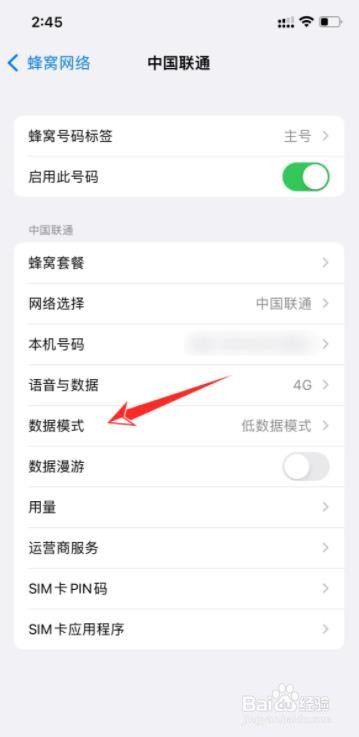 苹果手机如何关闭低数据模式