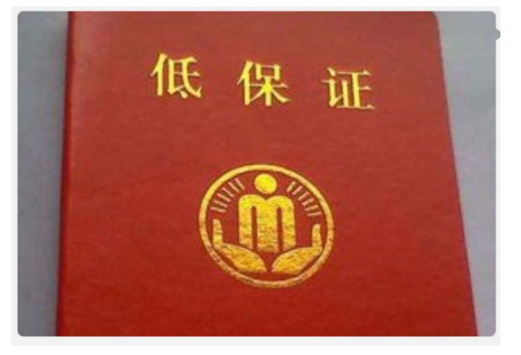 多重残疾能办两个残疾证吗