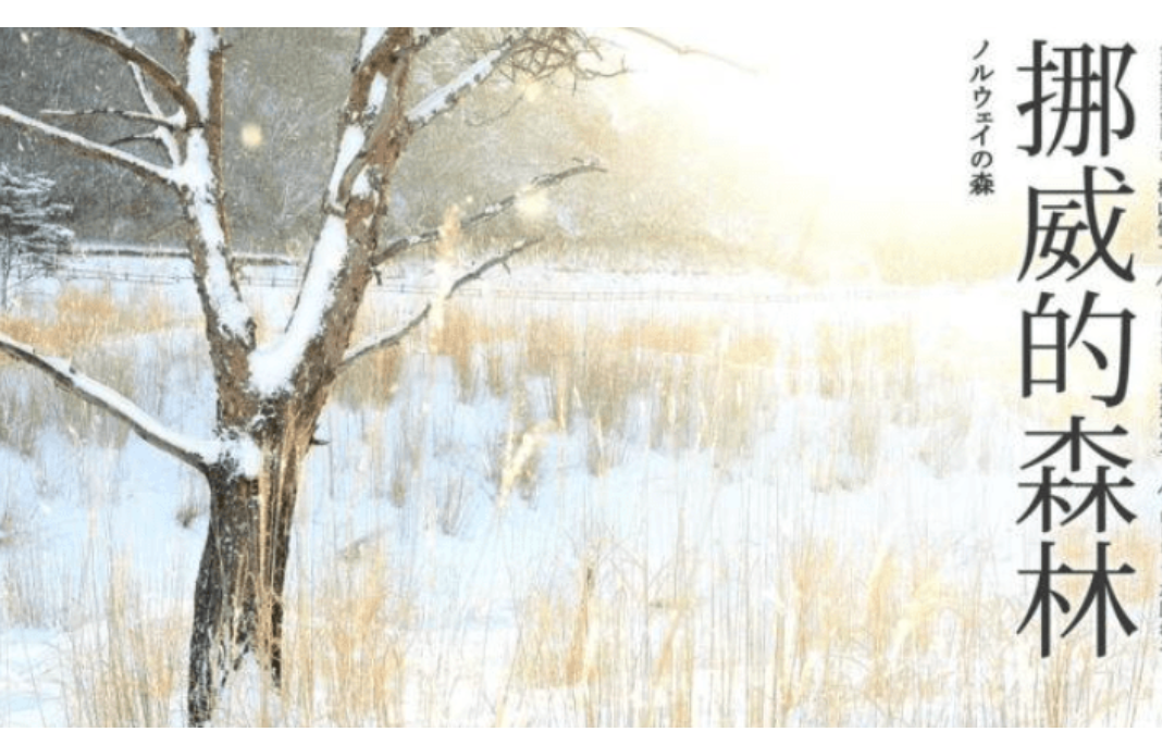 挪威的森林是什么