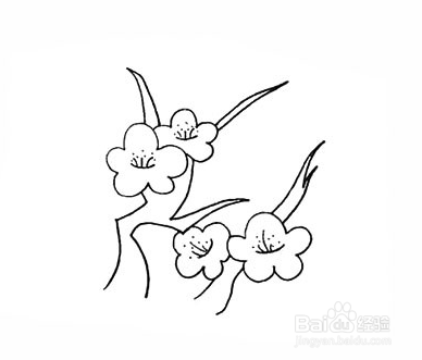 手绘简笔画之梅花的画法