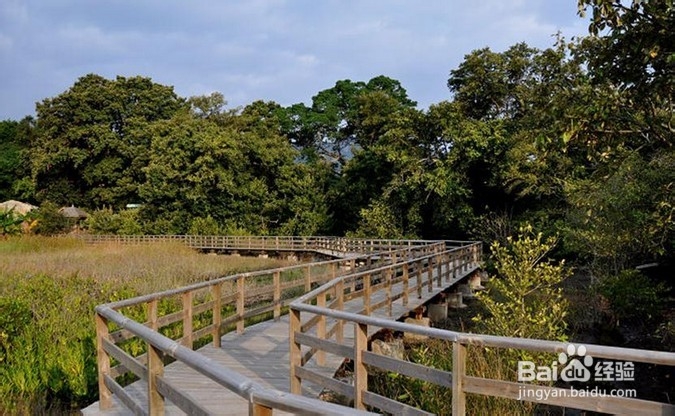 坝光捕鱼杨梅坑单车一日游