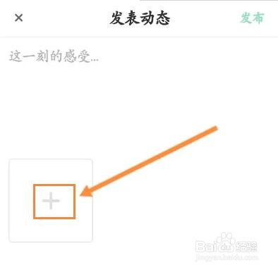 步道乐跑怎么发布动态信息