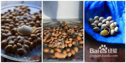 爆炒白果，让家中老人明显改善记忆的小零食