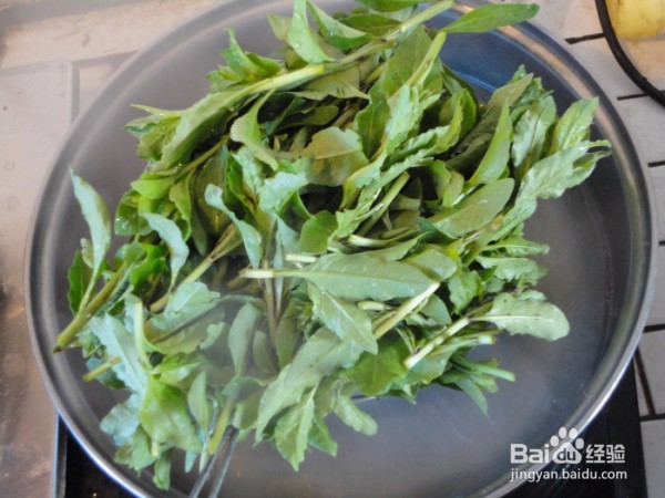 怎么做枸杞头拌虾皮