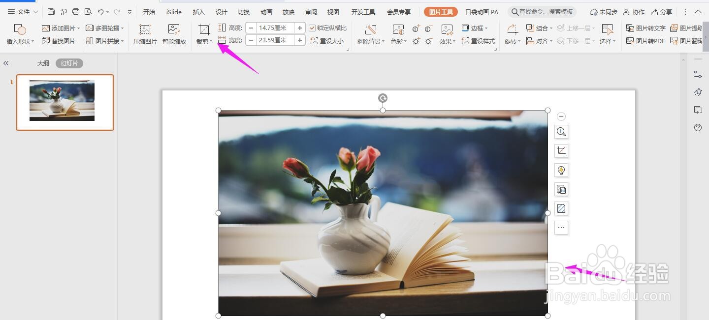 图片裁剪成圆形ppt教程
