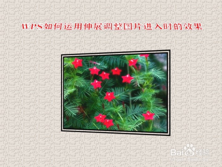 WPS如何运用伸展调整图片进入时的效果