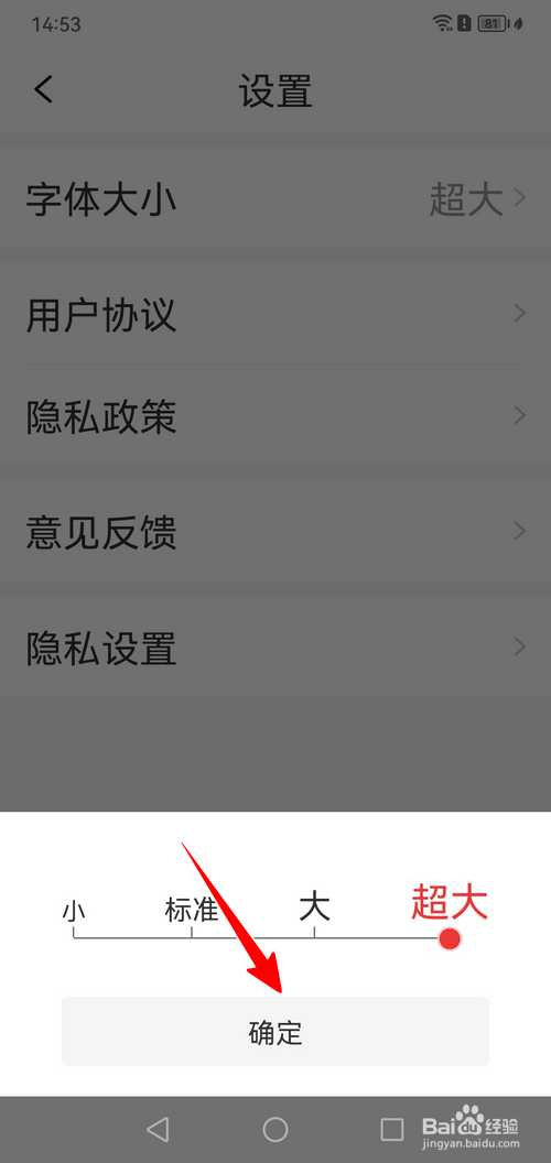 大字看APP怎样调整字体大小