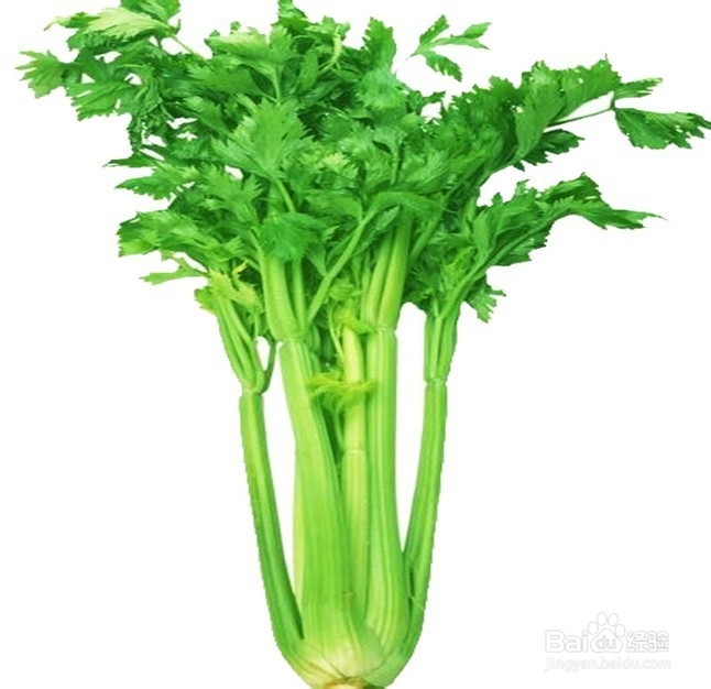 芹菜怎么吃降压