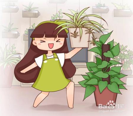 花盆边戳个洞，埋点它，花猛蹿狂长，叶子长成绿瀑布!
