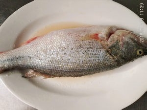 清蒸鲈鱼怎么做