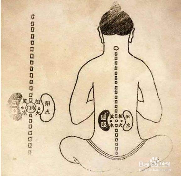 冬天怎么养生补肾？