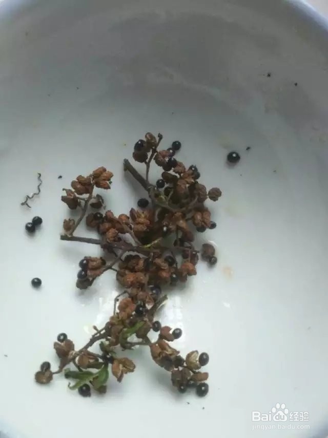 豆腐鲢鱼饭的家常做法