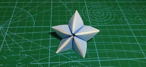 杨桃花开色彩缤纷 这个季节太意外!