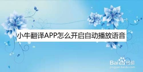 小牛翻譯app怎麼開啟自動播放語音