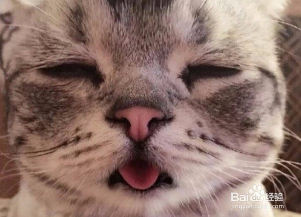 帮你解决上课睡觉的办法走起！