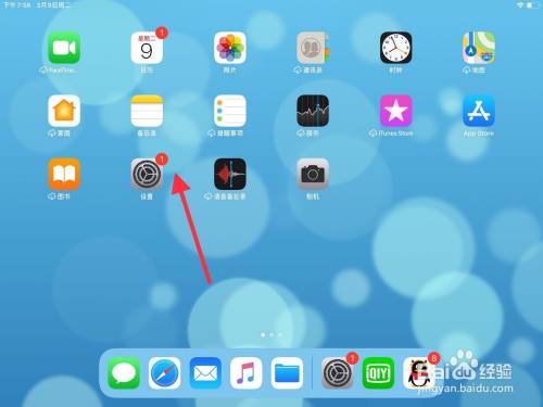 Ipad壁纸怎么自己设置 百度经验