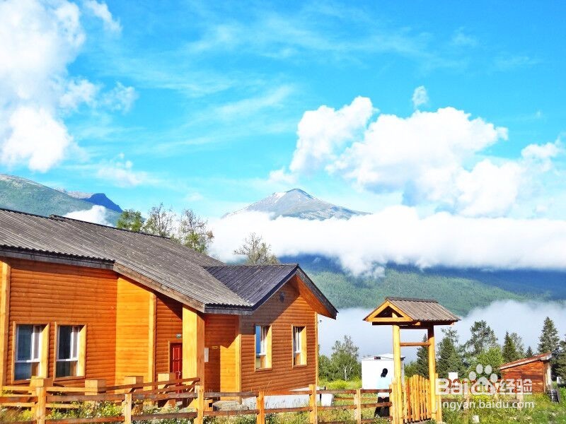 喀纳斯旅游攻略