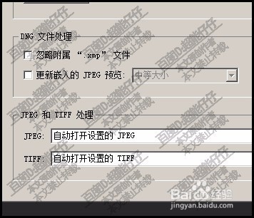PS 怎么打开Camera RAW?