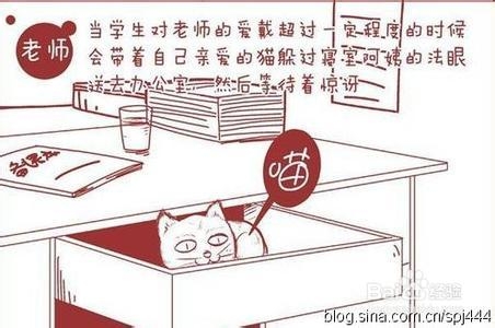 自信从哪里来