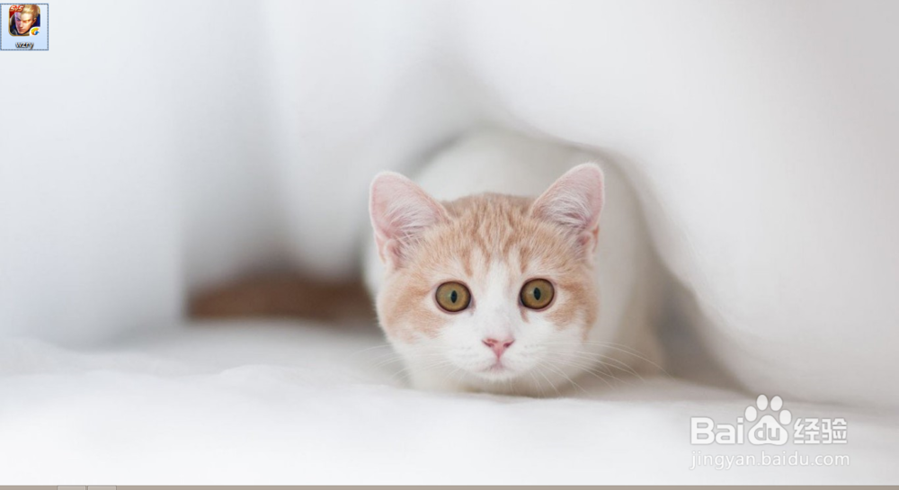 让你的电脑桌面整洁隐藏回收站或我的电脑