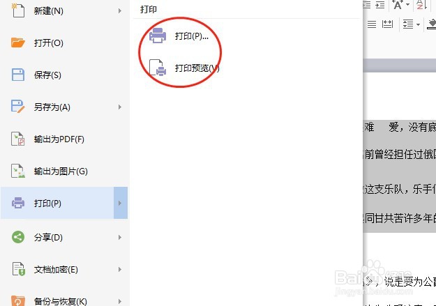 如何只打印选中的文字？