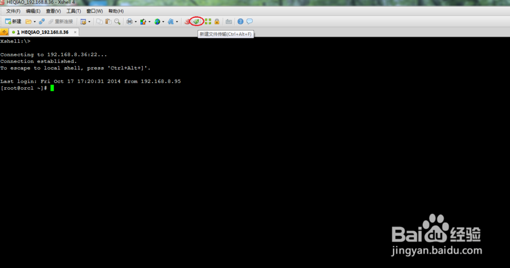 怎样快速使用Xftp上传下载文件